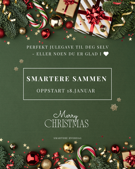Smartere Sammen - Vinter JULEGAVE